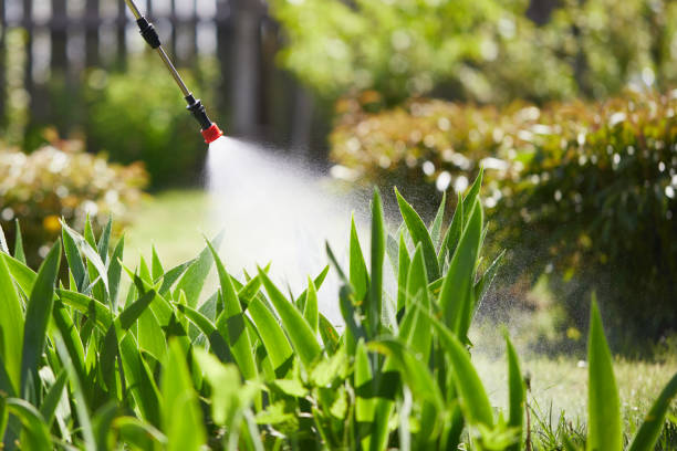 24/7 Emergency Cockroach Control experts in Lexington, OH